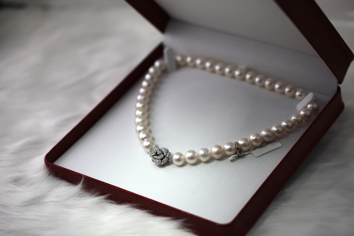 Layered Chain Necklace